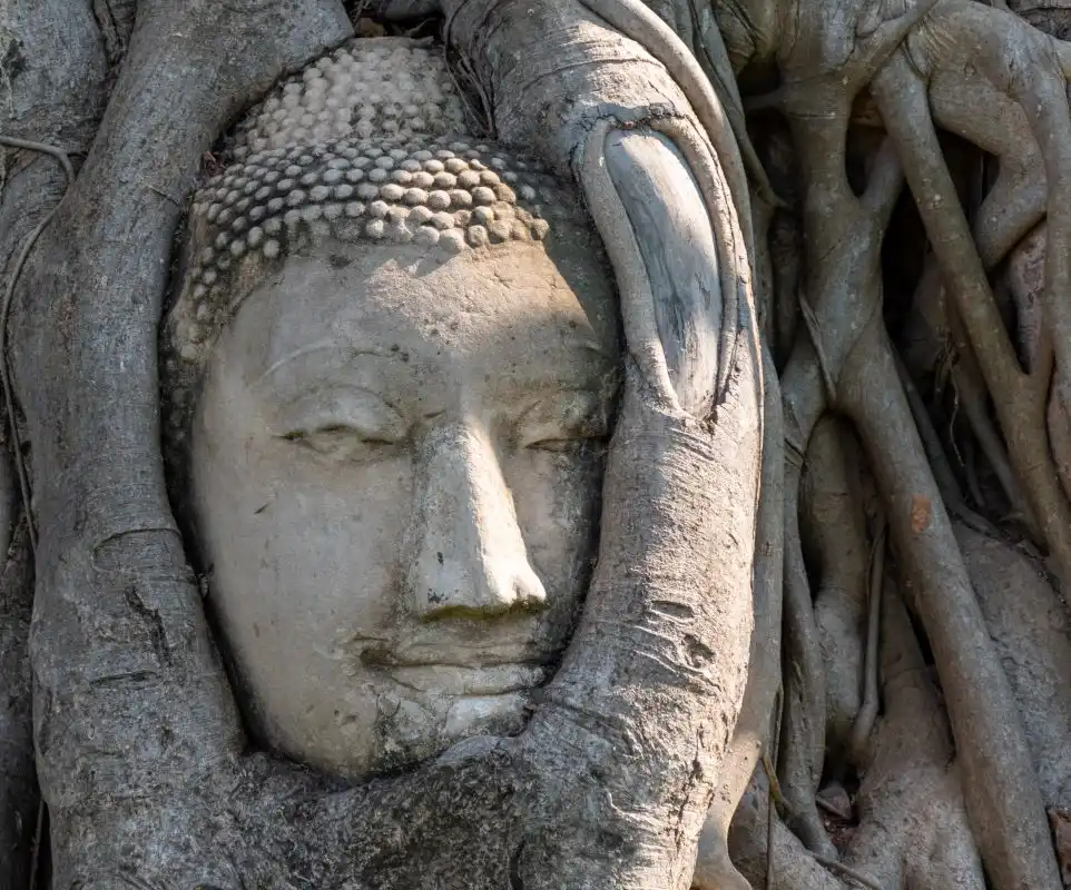 Haben-oder-Sein-Seminare